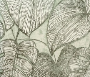 Wallpaper Monstera 26935
