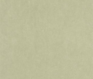 Tapeet Cotton Touch COTO 82387462