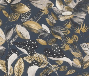 Tapeet Anubias 300818