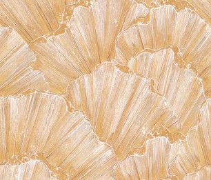 Mural Tridacna 300962/300887