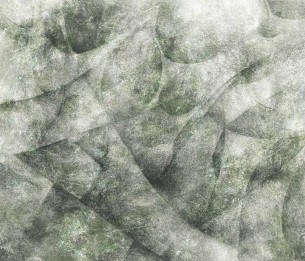 Fototapeet Umbra 390322101