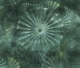 Fototapeet Orlanda 695332202