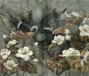 Fototapeet Nimfea 355322101