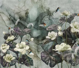 Fototapeet Nimfea 355312101