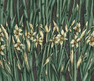 Fototapeet Narcise 445322102