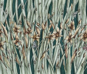 Fototapeet Narcise 445312102