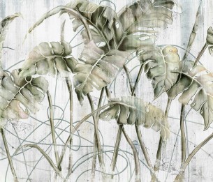 Fototapeet Monstera 595312201