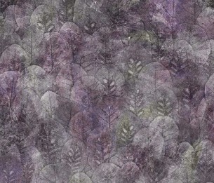 Fototapeet Iberis 410352101