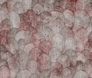 Fototapeet Iberis 410322101