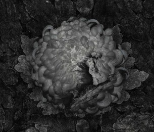 Fototapeet Gotti 570312201