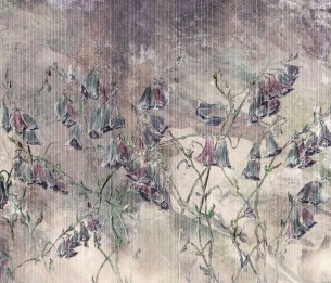 Fototapeet Giolla 385322101