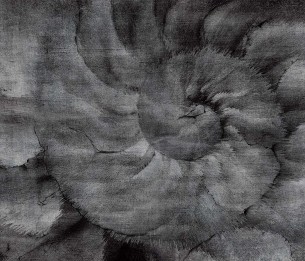 Fototapeet Fosilium 405332101