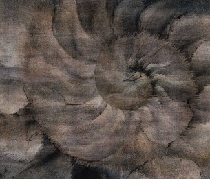 Fototapeet Fosilium 405322101