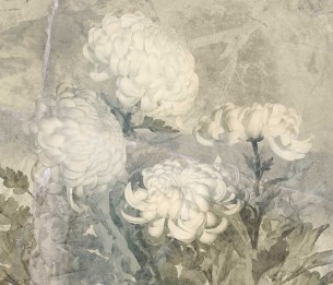 Fototapeet Floss 580332201