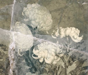 Fototapeet Floss 580322201