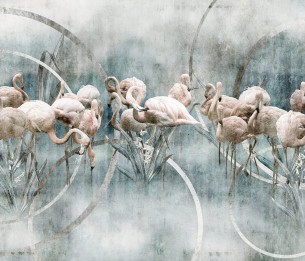 Fototapeet Flamingo 665312202