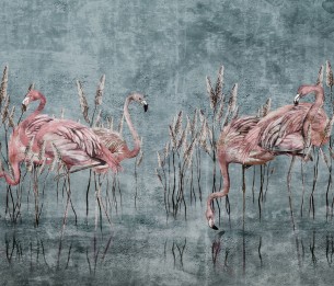 Fototapeet Fenicottero 375332101