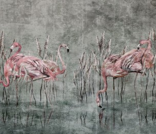 Fototapeet Fenicottero 375322101