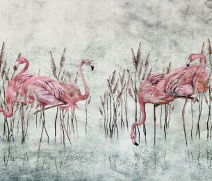 Fototapeet Fenicottero 375312101