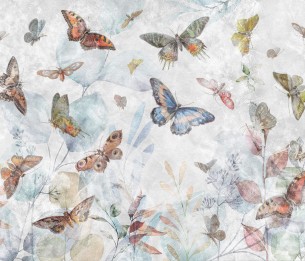 Fototapeet Elibri 700312202