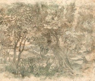 Fototapeet Elav 605332201