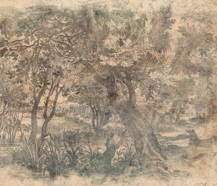 Fototapeet Elav 605312201