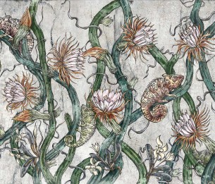 Fototapeet Colorado 455312102