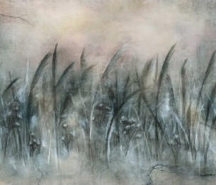 Fototapeet Canna 535322201