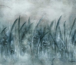 Fototapeet Canna 535312201