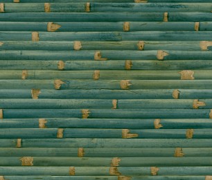 Tapeet Wanderlust WL1101