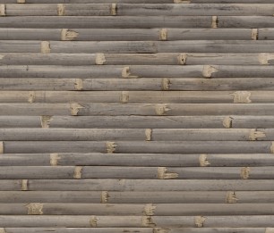 Tapeet Wanderlust WL1103