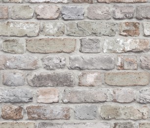 Tapeet Wanderlust WL2201