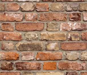 Tapeet Wanderlust WL2202