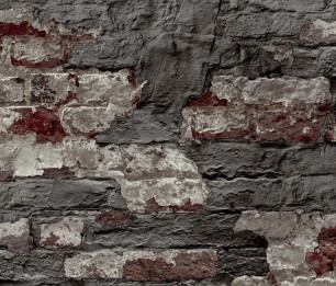 Tapeet Wanderlust WL3303