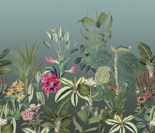 Valokuvatapetti Treasures of Nature TD4290