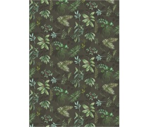 Valokuvatapetti Treasures of Nature TD4283