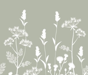 Fototapeet XL Field Flowers 159214