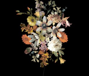 Fototapeet XL Flower Still Life 159215