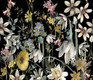 Fototapeet XL Wild Flowers 159216