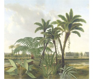 Valokuvatapetti Treasures of Nature TD4251