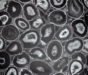 Wallpaper Filo 51216