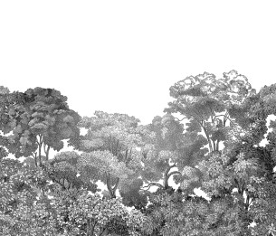 Mural Bellewood R13053