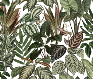 Mural Mischievous Monkeys R14591