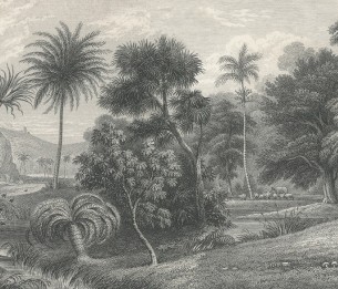 Mural Jungle Land R14611