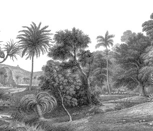 Mural Jungle Land R14612