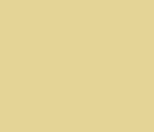 Tapeet Plain RE25105