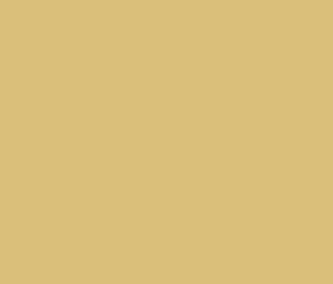 Tapeet Plain RE25110