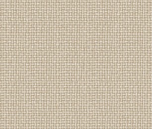 Tapeet Biderbost Weave 91602