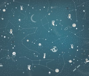 Valokuvatapetti Animals in Cosmos