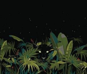 Valokuvatapetti Black Panther